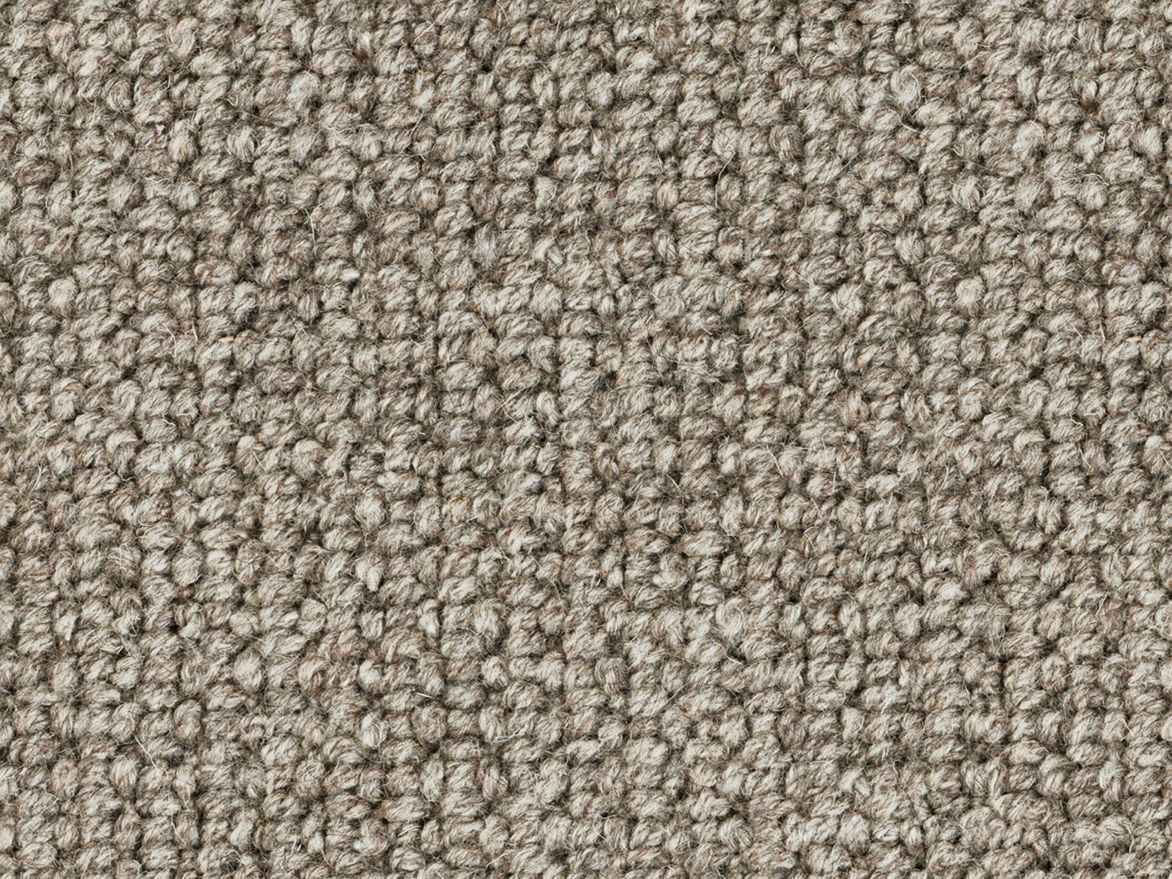 Variant Grey 2500